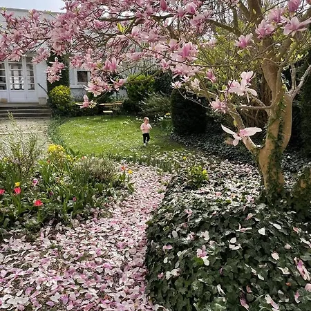 Joly 2* Armentières