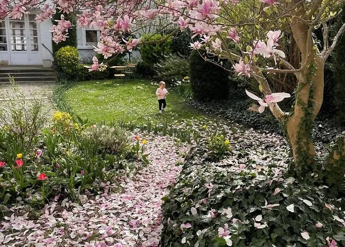 Joly 2* Armentières